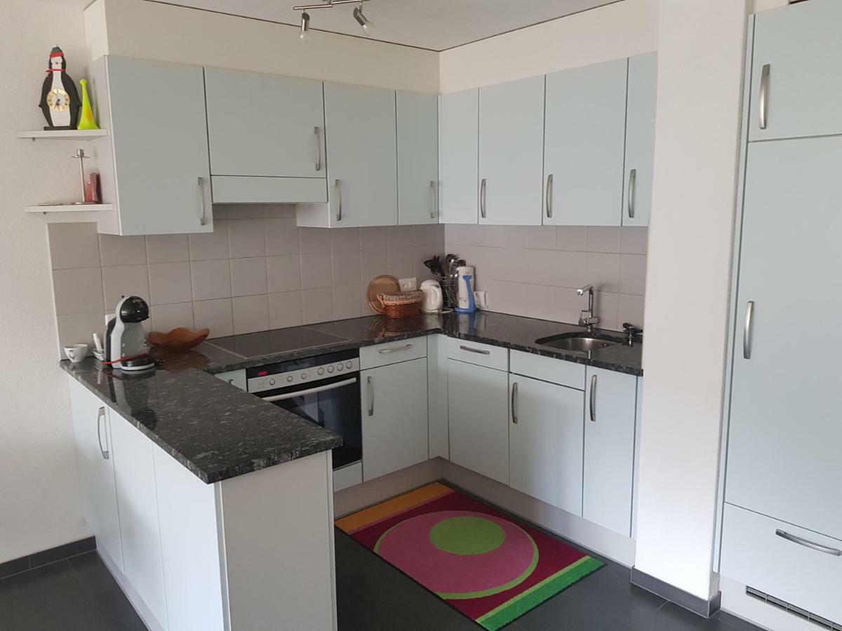 Ferienwohnung Zayetta Ice Cube Nr. 11 ツェルマット エクステリア 写真